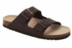 Andrea Sandaler, Brown, 41