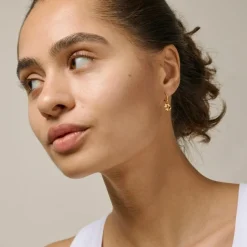 Classic 8 mm Hoops, Gold Plated