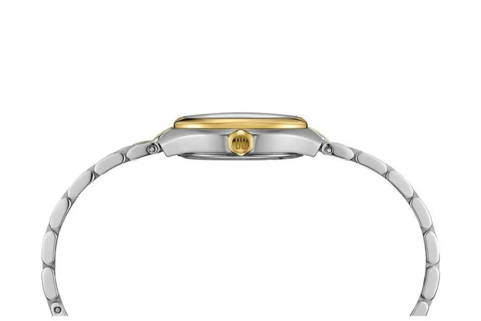 DS-2 C049.210.22.116.00 Dameur, Bicolor, 28 mm