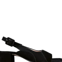 Judy Sandaler, Sort, 36