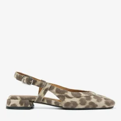 Julie Xena Sandaler, Brown, 36