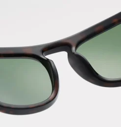 Max Solbriller, Demi Tortoise