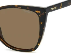 PLD 4181/S Solbriller, Havana