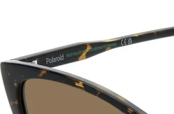 PLD 4181/S Solbriller, Havana