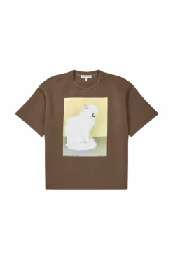 Raploi T-shirt, Brown, 36