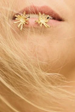 Star Shell Øreringe, Gold Plated