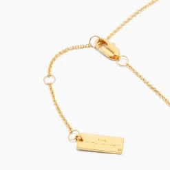 The Medallion Pendant Halskæde, Guld/Rød, 41+2,5 cm